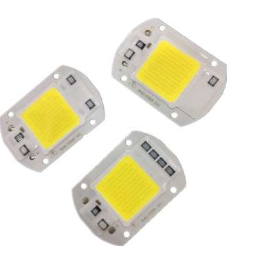 AC 110V 220V drive free 20W 30W 50W White led chip 3000K